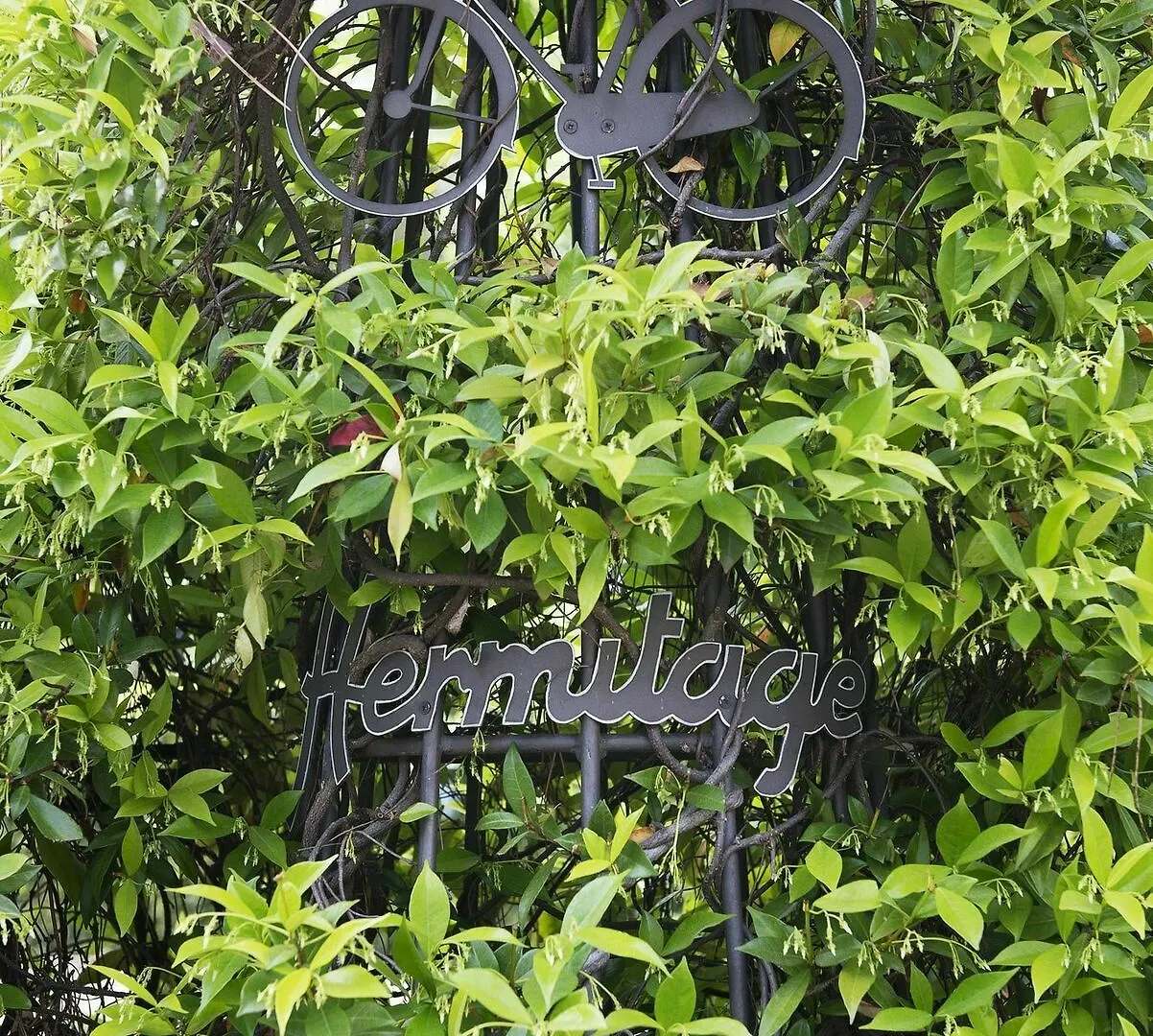 Hotel Hermitage Форте-деи-Марми